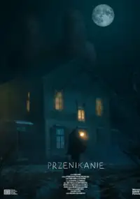 Plakat filmu Przenikanie