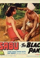 plakat filmu The Black Panther