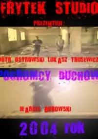 Plakat filmu Pogromcy duch&oacute;w