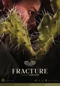 Plakat filmu Pęknięcie