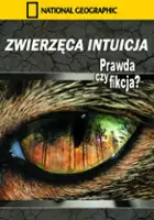 plakat filmu Zwierzęca intuicja
