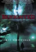 plakat filmu Benighted