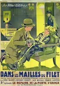 Plakat filmu Into the Net