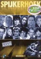 Mary-Lou van Steenis / Spijkerhoek