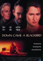 plakat filmu Down Came a Blackbird