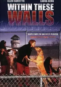 Plakat filmu W tych ścianach