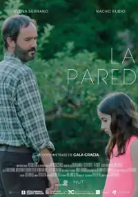 Plakat filmu Ściana
