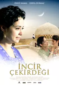 Plakat filmu Incir çekirdegi