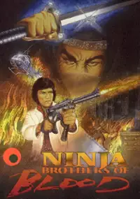 Plakat filmu Ninja Knight Brothers of Blood