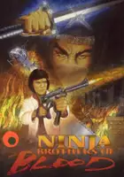 plakat filmu Ninja Knight Brothers of Blood