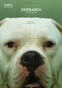 Plakat filmu Adopciaki