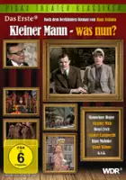plakat filmu Kleiner Mann - was nun?