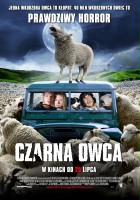 plakat filmu Czarna owca
