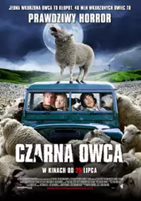 Plakat filmu Czarna owca