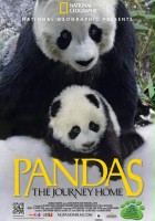 plakat filmu Pandas: The Journey Home