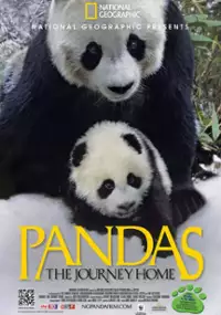 Plakat filmu Pandas: The Journey Home