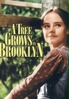 plakat filmu Drzewko na Brooklynie