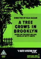 Norman Field / Drzewko na Brooklynie