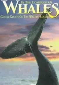 Plakat filmu In the Company of Whales