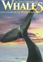 plakat filmu In the Company of Whales