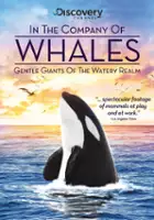 plakat filmu In the Company of Whales