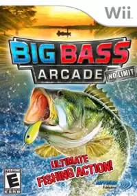 Plakat gry Big Bass Arcade