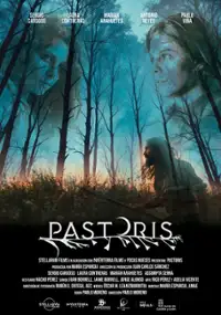 Plakat filmu Pastoris
