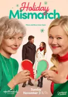 plakat filmu Holiday Mismatch