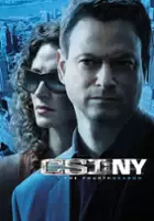 plakat - CSI: Kryminalne zagadki Nowego Jorku (2004)