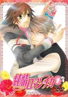 plakat serialu Junjō Romantica