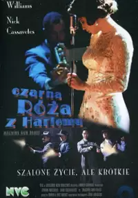Plakat filmu Czarna róża z Harlemu