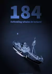 Plakat filmu 184