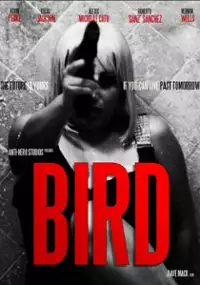 Plakat filmu Bird