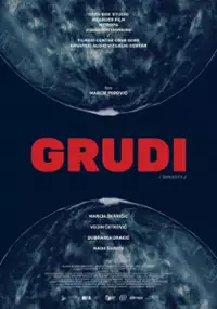 Plakat filmu Grudi