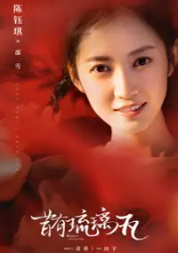 Plakat serialu Xi You Liu Li Wa