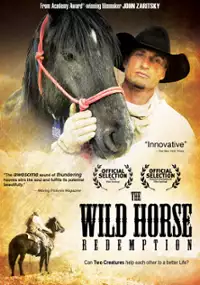Plakat filmu The Wild Horse Redemption