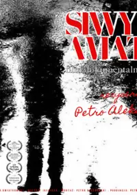 Plakat filmu Siwy amator
