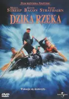 Curtis Hanson / Dzika rzeka