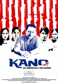 Plakat filmu Amerykanin i jego harem