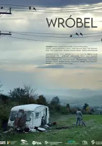 Plakat filmu Wróbel