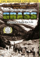 plakat filmu Trawa: walka narodu o życie