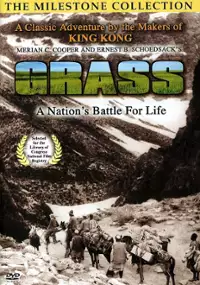 Plakat filmu Trawa: walka narodu o życie