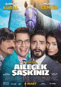 Plakat filmu Ailecek Şaşkınız