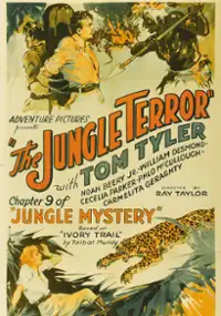 Plakat filmu Zungu