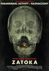 Plakat filmu Zatoka