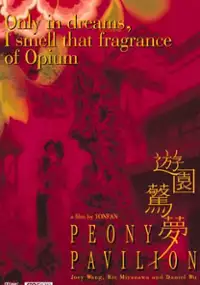 Plakat filmu Youyuan jingmeng