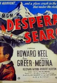 Plakat filmu Desperate Search
