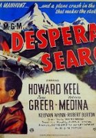 plakat filmu Desperate Search
