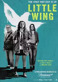 Plakat filmu Little Wing