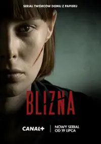 Plakat serialu Blizna